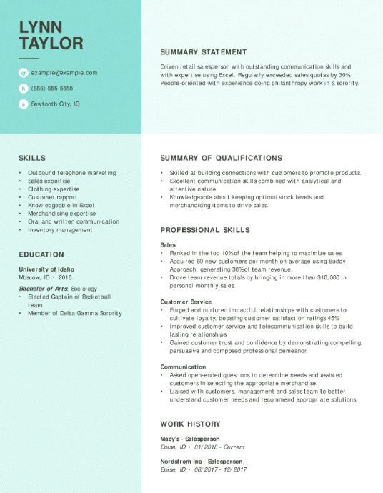 Functional Resume Example