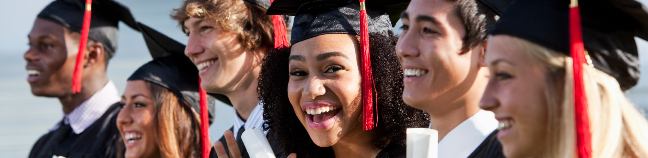Diploma vs Certificate vs Degree