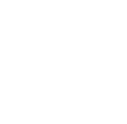 Workforce White Icon